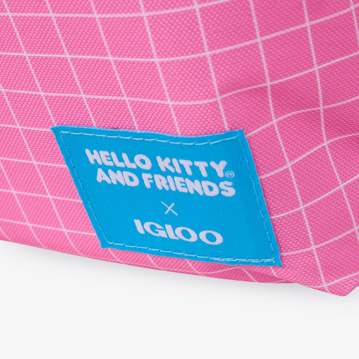 hello-kitty-and-friends-bff-mini-convertible-backpack-cooler-e2 00027591-L.jpg