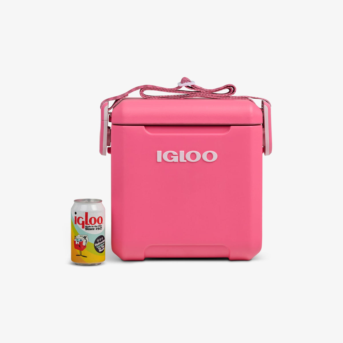 tag-along-too-remix-cooler-s5 00033199-P_861a5cd2-f15c-4217-a471-e33cc3890d9e.jpg
