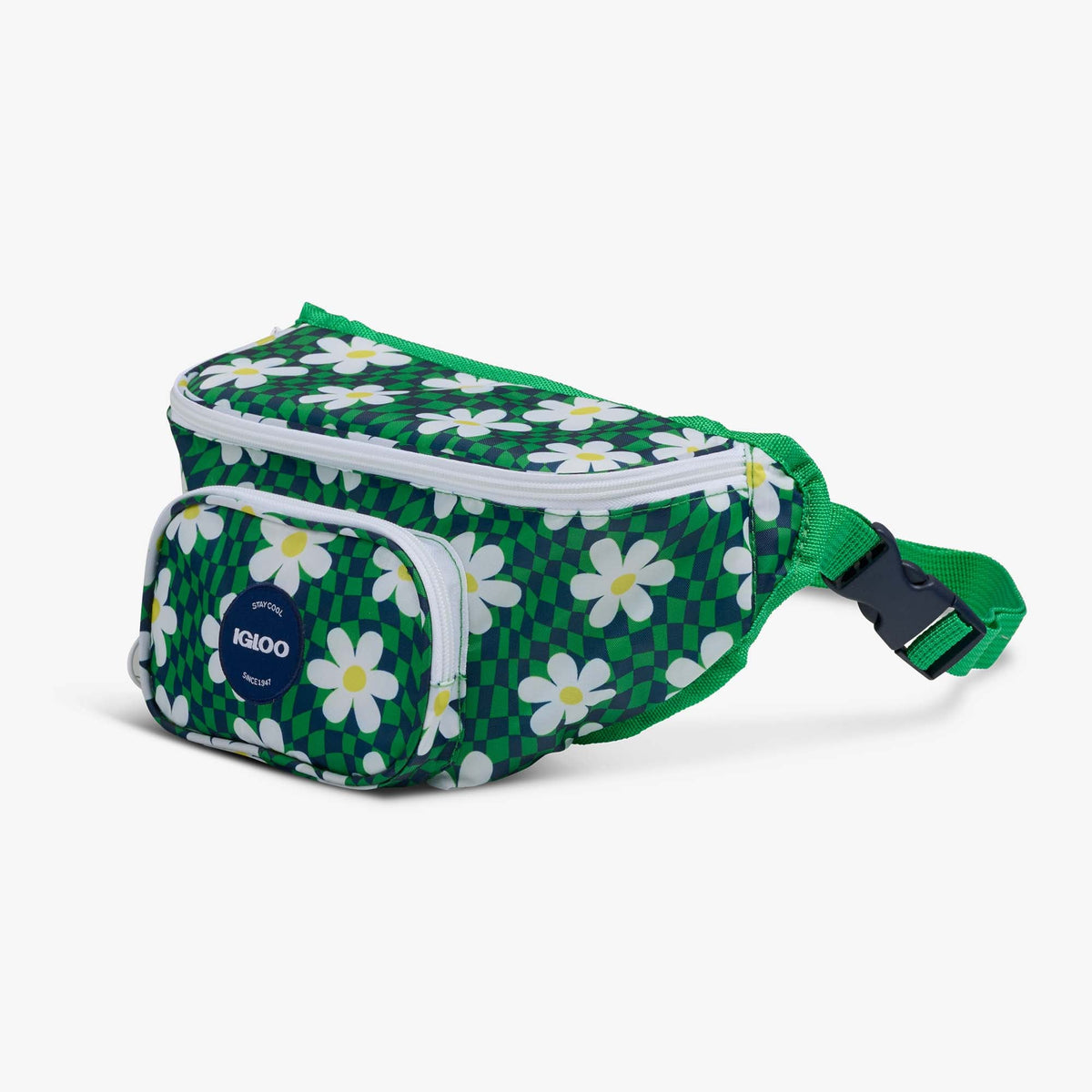retro-fanny-pack-h0 00067206-H1.jpg