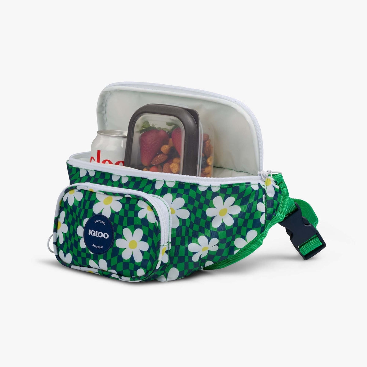 retro-fanny-pack-h0 00067206-P1.jpg