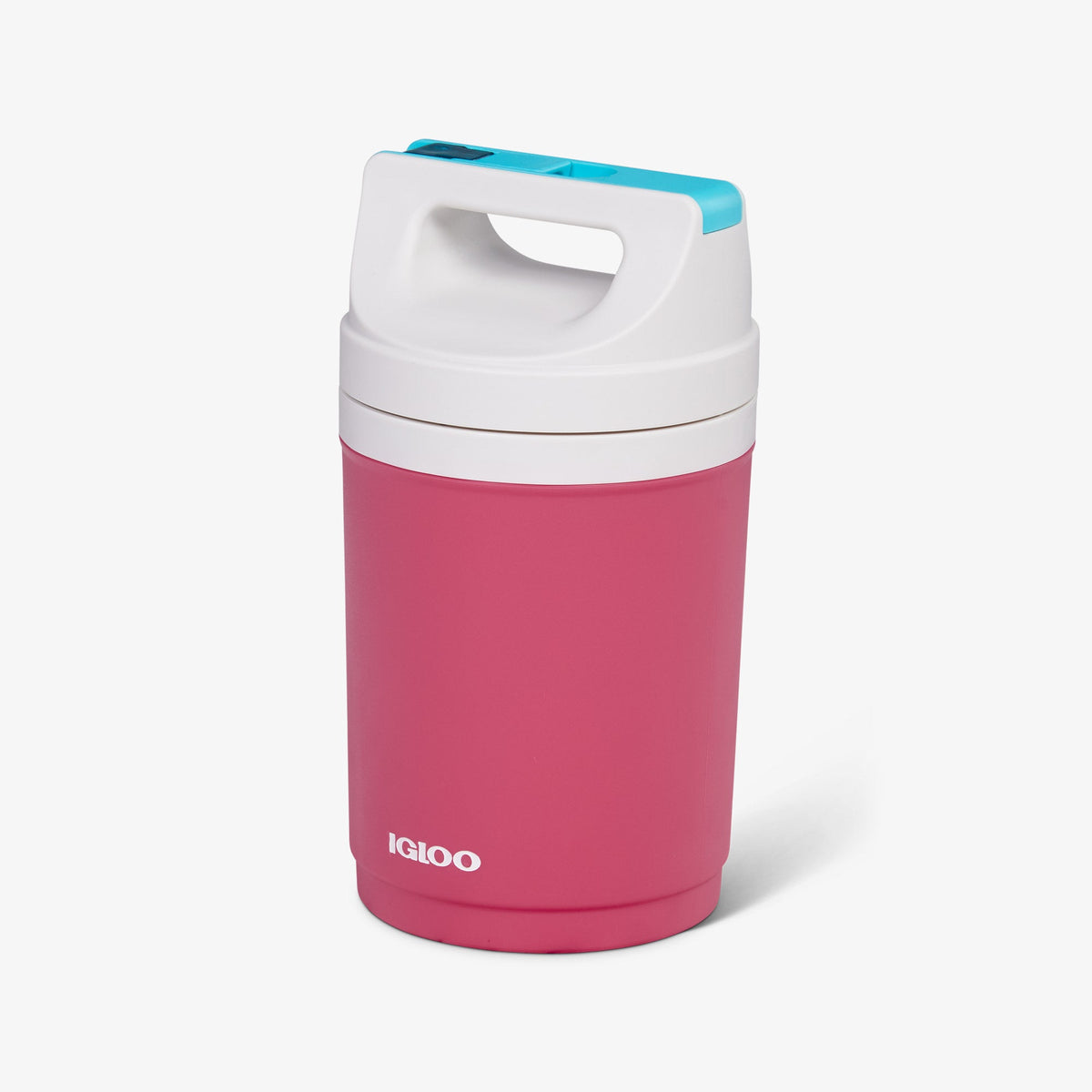 retro-playmate-half-gallon-jug-e7 00070862-H1.jpg